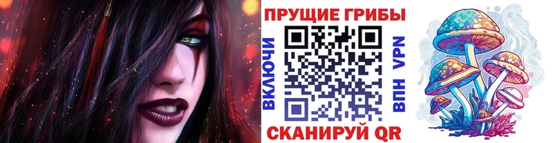 Псилоцибиновые грибы Psilocybe  Пудож 